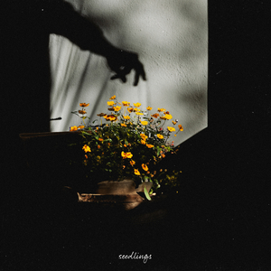 gay做羞羞的事免费在线观看视频
