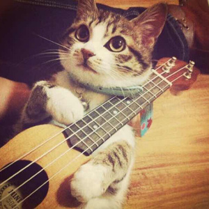 gay做羞羞的事免费在线观看视频
